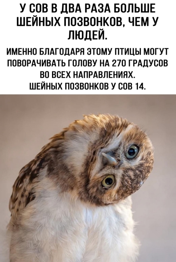  270 ...  ,   , , , , , 