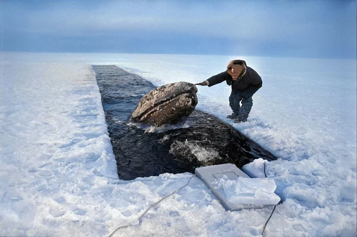 Подборка фотографий из прошлого, которые заставляют удивиться. 20 раскрашенных фотографий из XIX-ХХ века. Часть 19 Историческое фото, Старое фото, Фотография, 20 век, Колоризация, Длиннопост