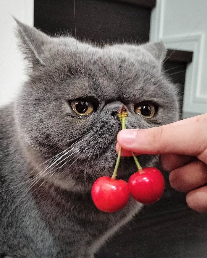   , 