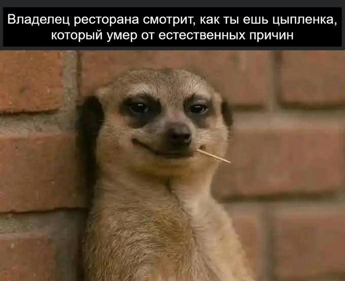  ? ))