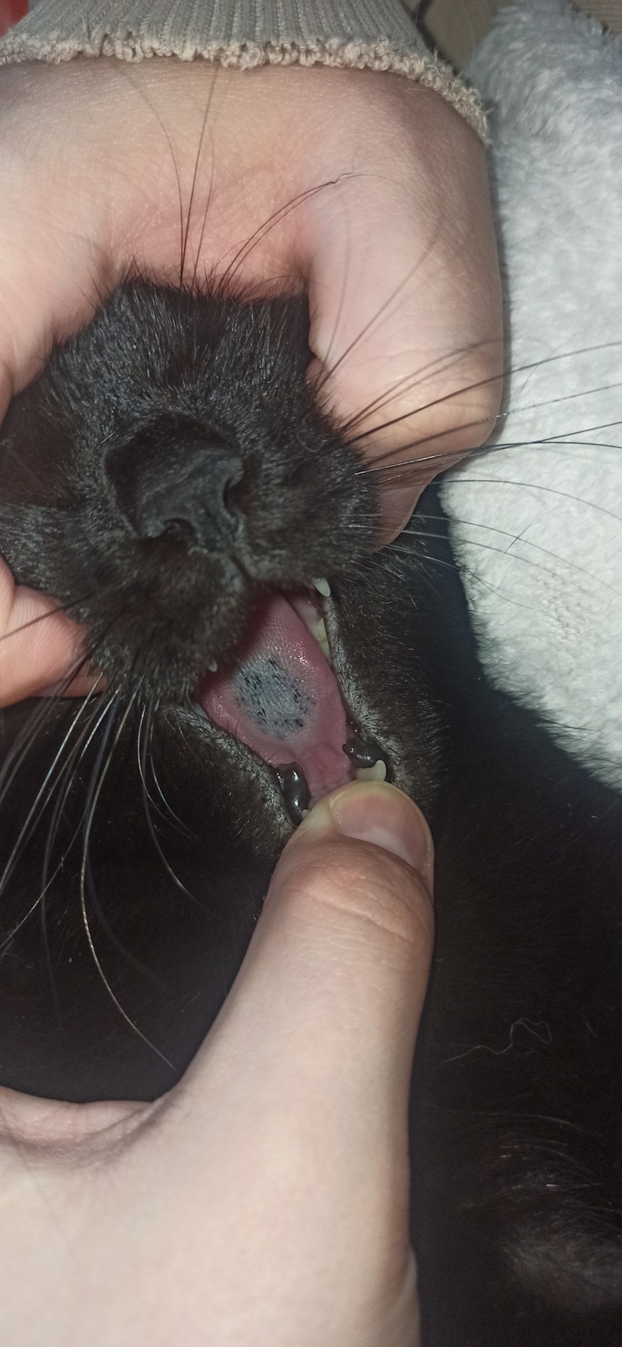 Неожиданно