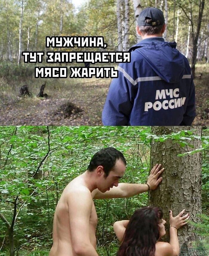       , , , , ,  , 