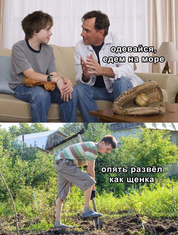       , , , , ,  , 