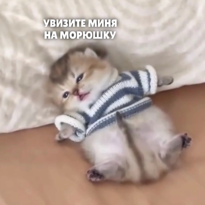  : , , ,   , , , 
