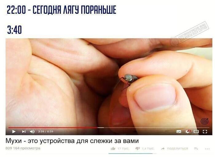  , ,   , , , YouTube