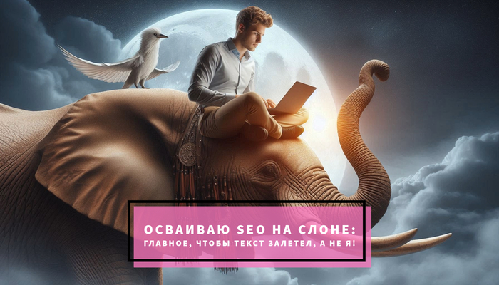     ,   :  SEO-   SEO, ,   , , Fail, , , , , ,  , , 