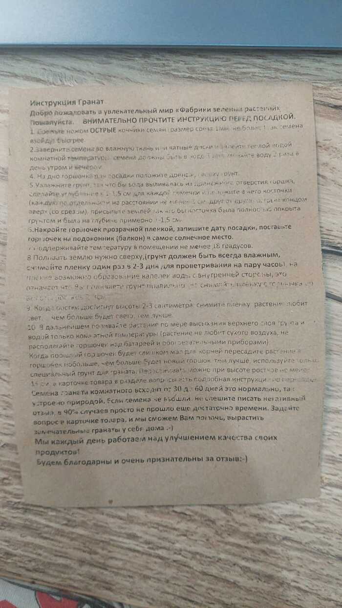 По проращиванию семян граната