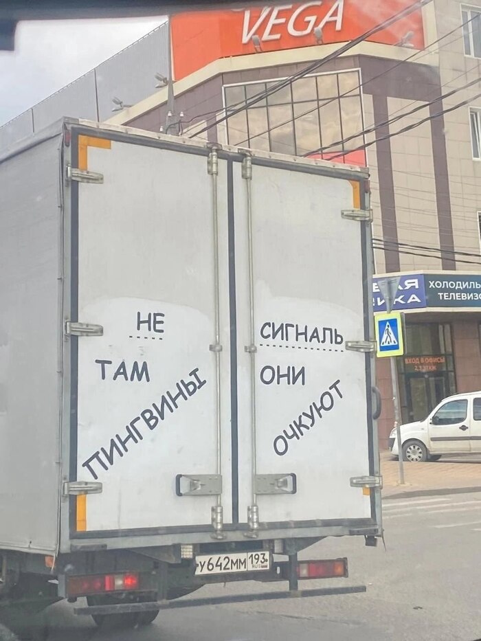 Не там пипгвины. сигналь они очкуют