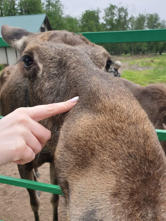 Ответ на пост «Лучший кадр 2025 года»