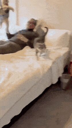   , , , 