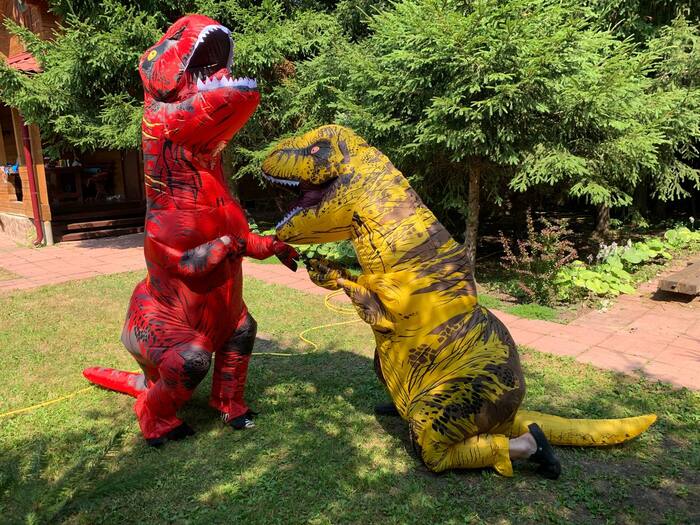 Ответ на пост «Сбылась мечта идиота! ТЕПЕРЬ Я ТИРАННОЗАВР РЕКС!:)))» Тираннозавр, Костюм, Милота, Мечта, Радость, Длиннопост, Ответ на пост