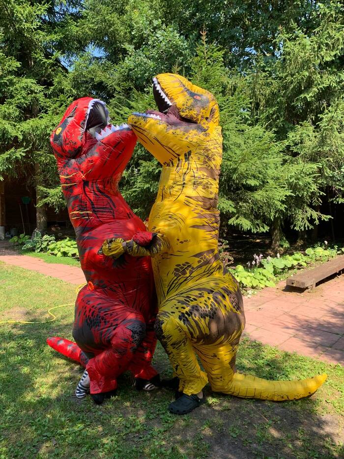 Ответ на пост «Сбылась мечта идиота! ТЕПЕРЬ Я ТИРАННОЗАВР РЕКС!:)))» Тираннозавр, Костюм, Милота, Мечта, Радость, Длиннопост, Ответ на пост