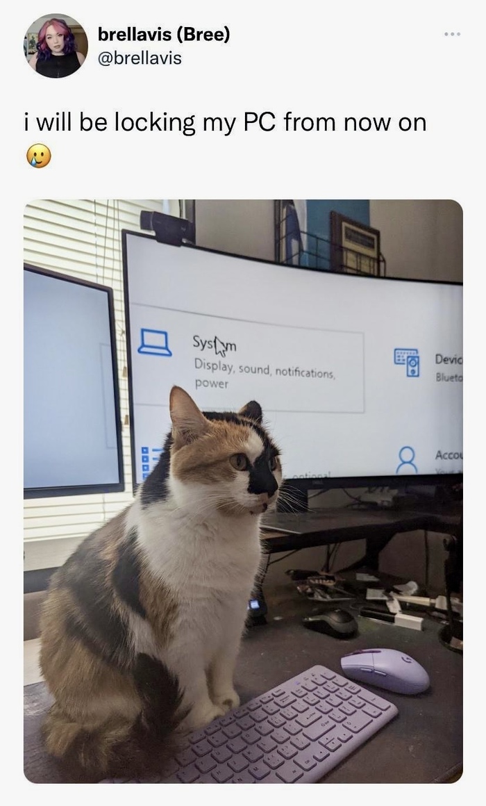 "       " , X (Twitter)