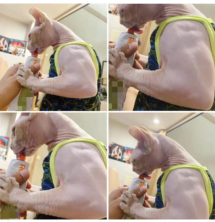  , 
