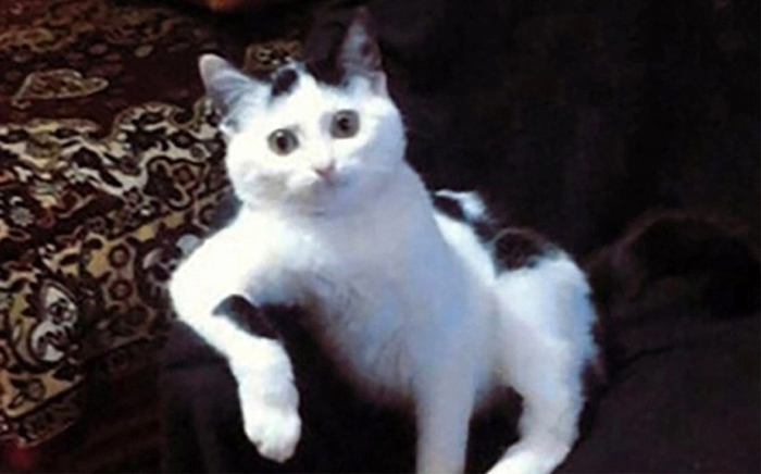      , , , , - ,   , , , , 