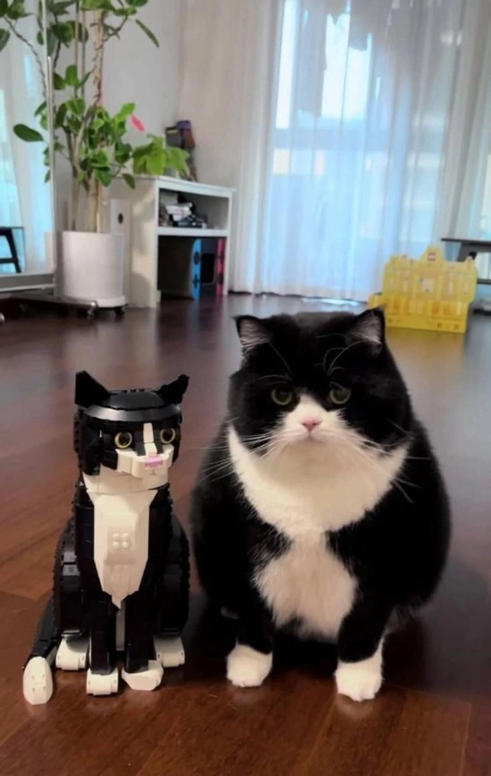 ,  ? ,  , , , , ,  ,  , , , ,  