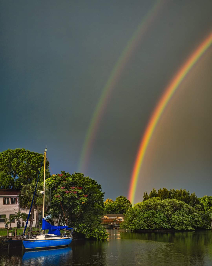 Rainbow , 