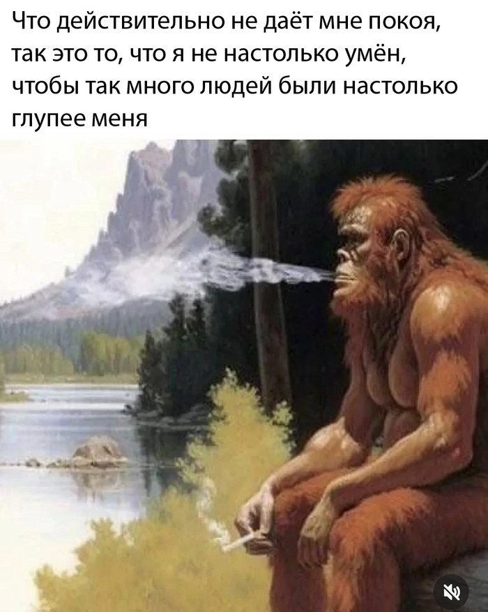 Парадокс тупости