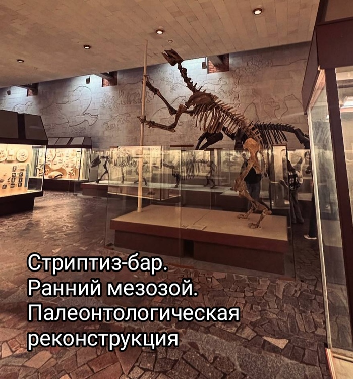   ,   , , , 