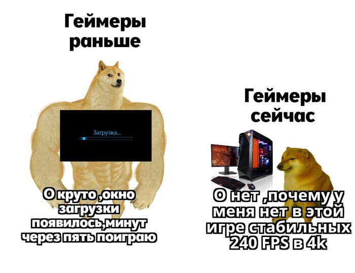  vs   , ,   , , , Doge