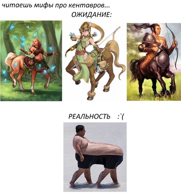 :      ,    Dota2? , , , , , 