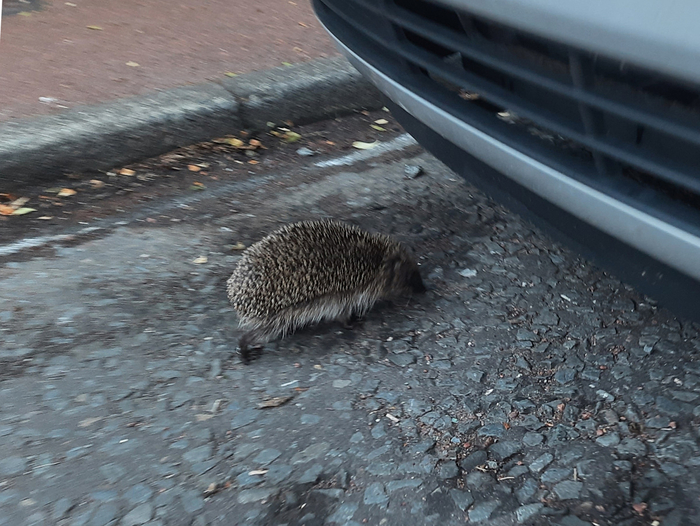  ,  ,          .     !