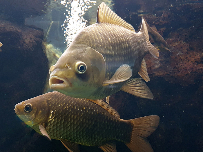  .     ,           (   ).        !