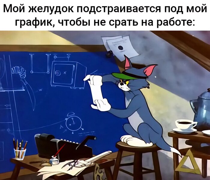  ,   , ,  ,  , , Telegram (),  