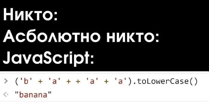  :   , IT, , IT , , Javascript