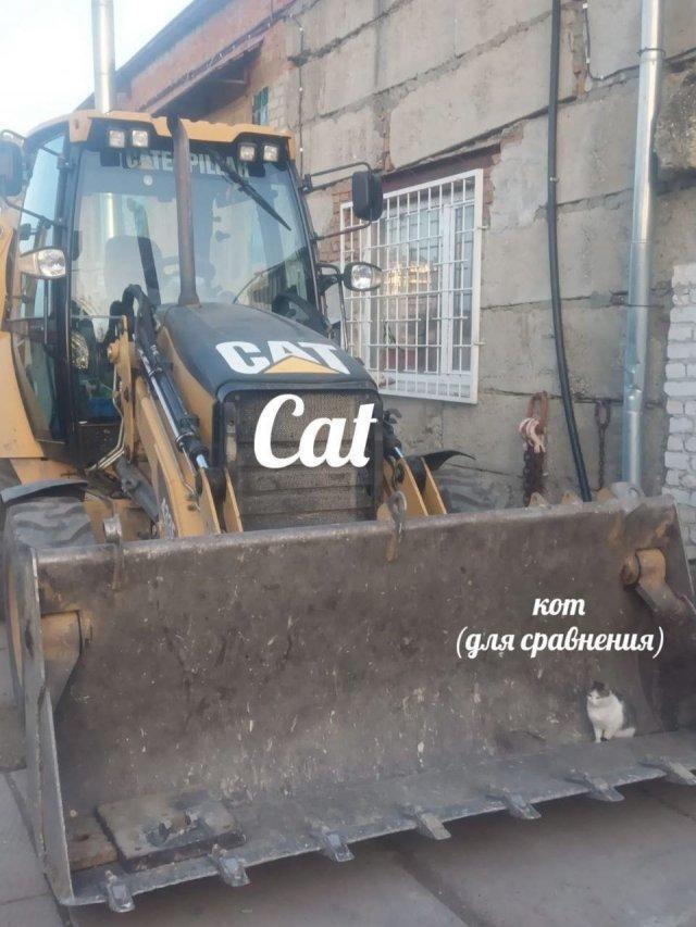   ,   , , Caterpillar, 