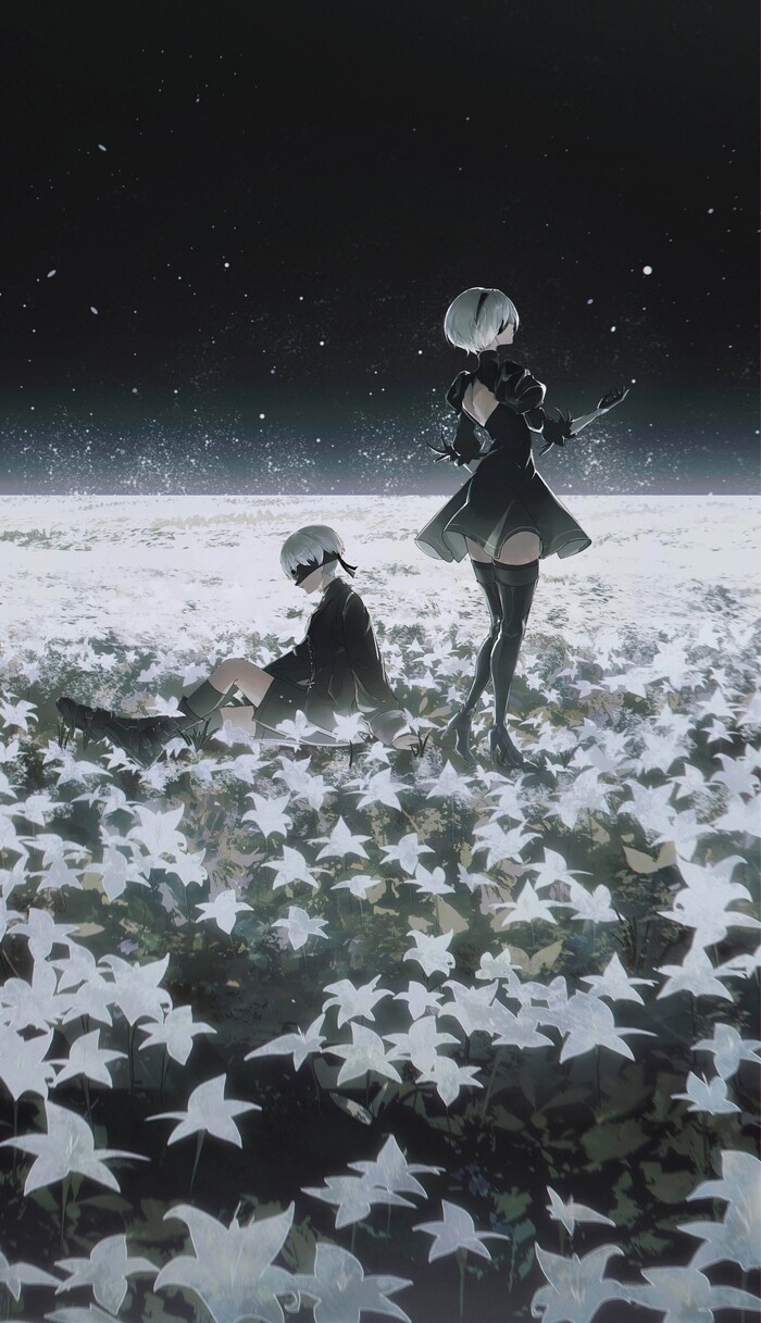  Anime Art, , Nier Automata, Yorha unit no 2 type B, Yorha unit no 9 type S, , , Pixiv