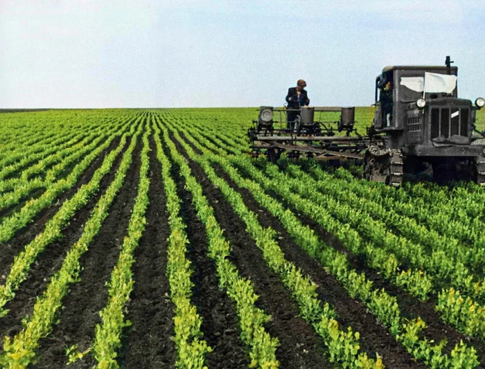 Подборка простых и потрясающих фотографий эпохи СССР. 20 раскрашенных фотографий. Часть 25 СССР, Фотография, Старое фото, 20 век, 60-е, 50-е, 40-е, 1930-е, 70-е, 80-е, Детство в СССР, Сделано в СССР, Историческое фото, Колоризация, Длиннопост