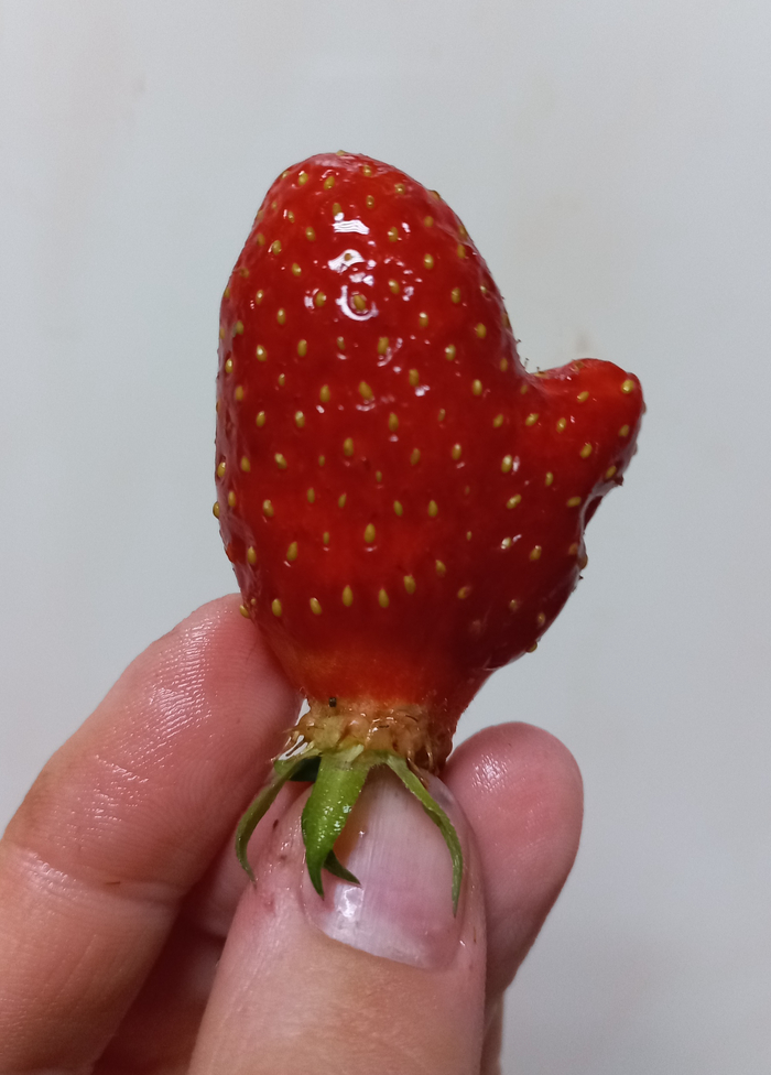  ,     !) ,  ,  ,  (), , , , ,  ,  ,  , 