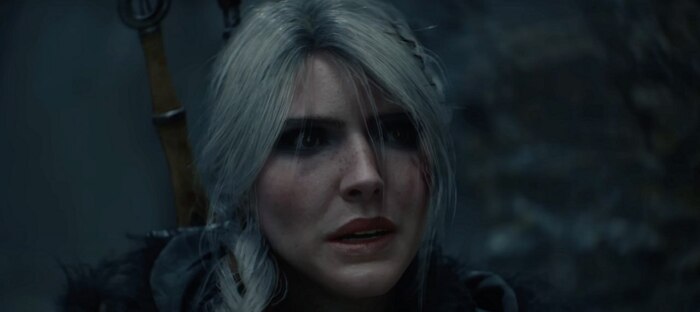 The Witcher 4:     