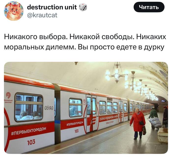 В Московском метро появился поезд, на котором можно уехать прямо в дурку