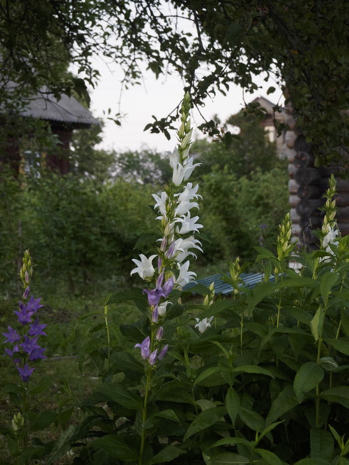  , , , , , , , Olympus, Lightroom