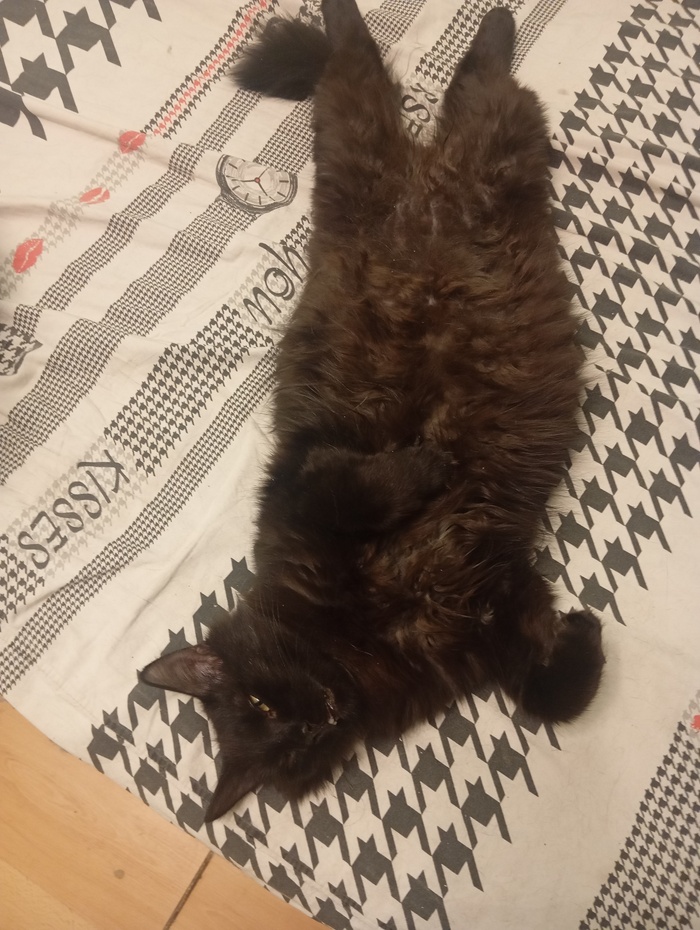        , , , ,  ,   