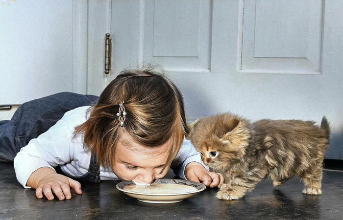 ��������: ������ �������