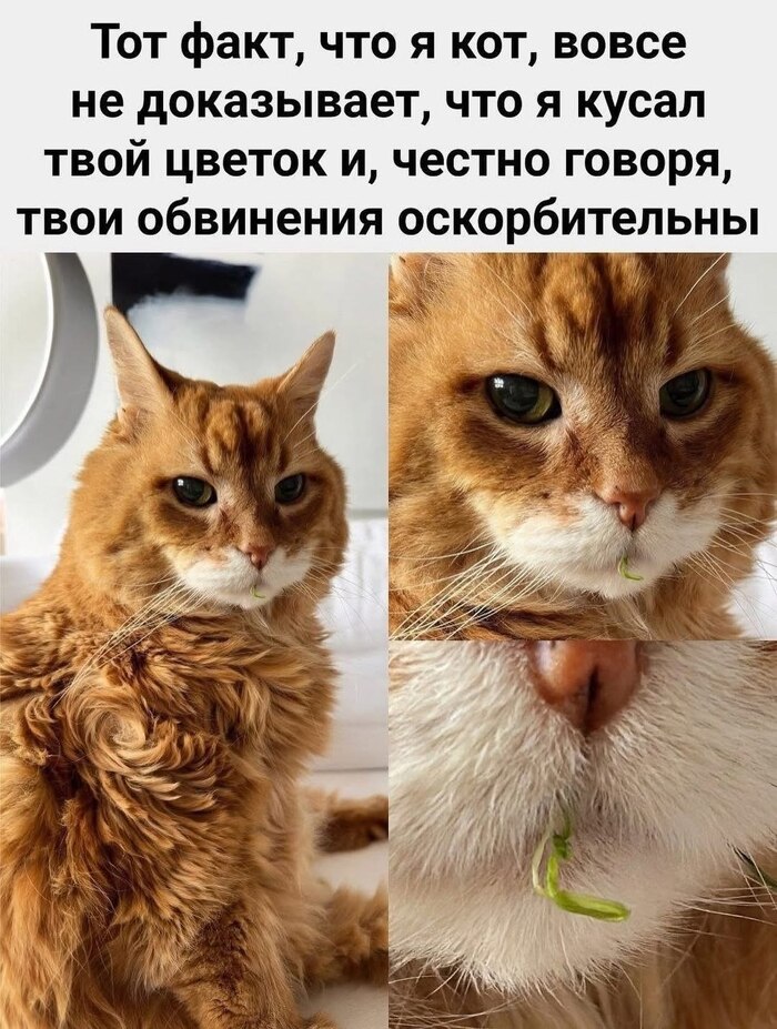     , , ,   ,  , 