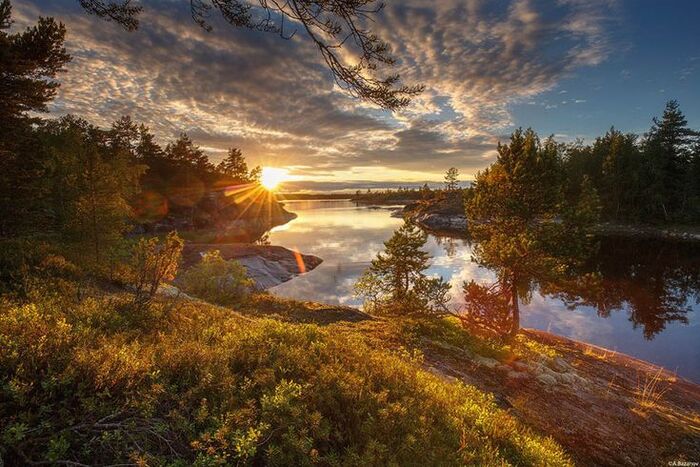Новый дизайн паспорта РФ Блог, Дизайн, Критика, Обсуждение, Свежее, Паспорт, Мат, Длиннопост