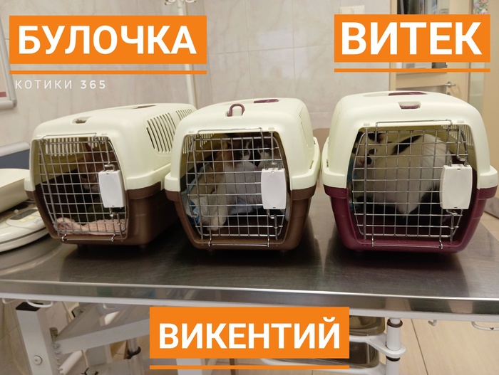 ,    14.06.2025 , , , ,  , , 