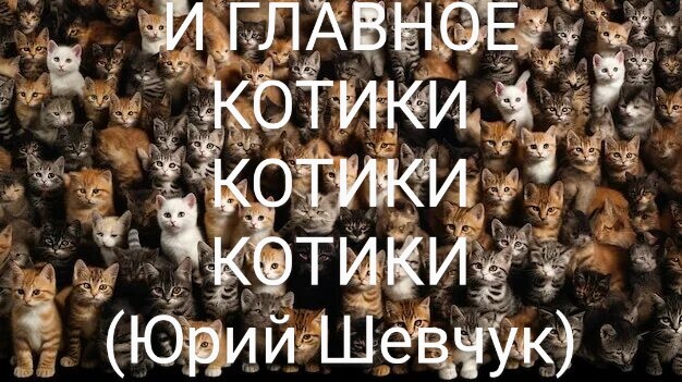" : --!" ,  , , ,  , 