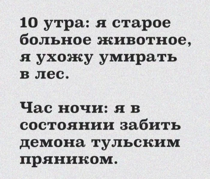 pltbddc2.webp