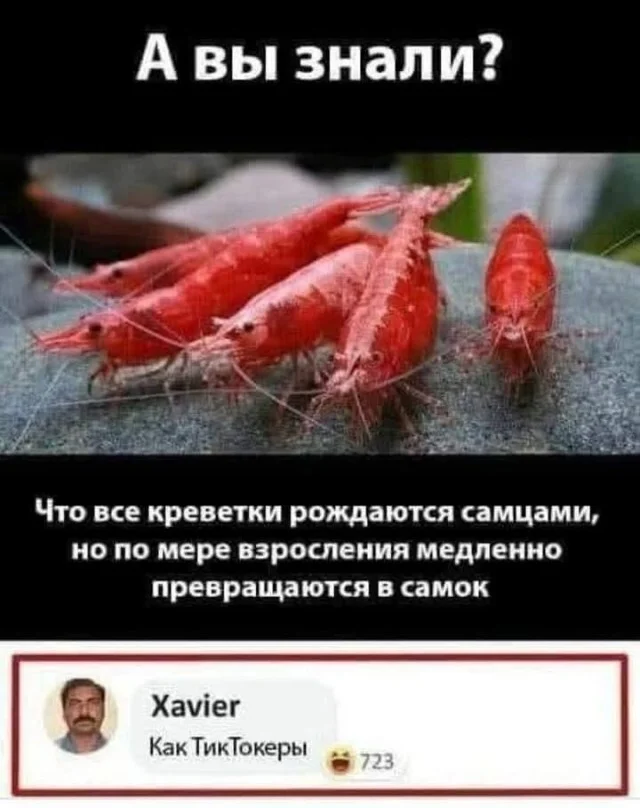 54brcpee.webp