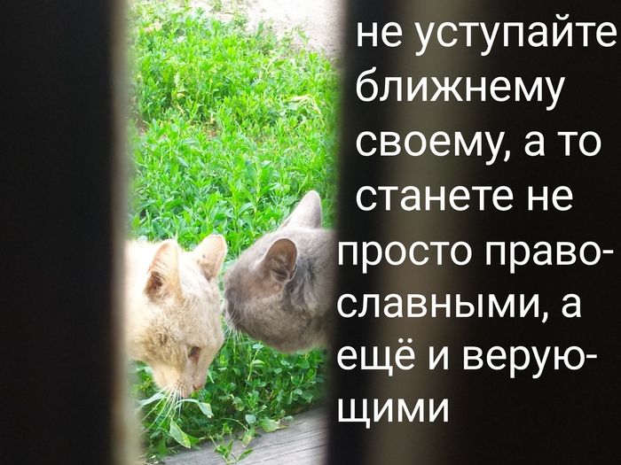       ))) ))) , ,  (), , ,   