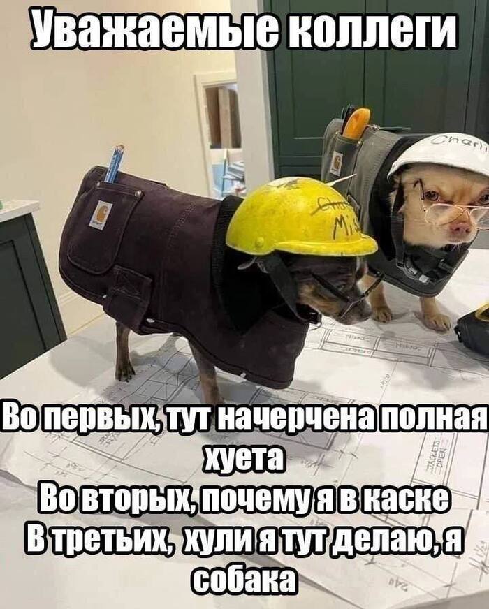    , ,   , , 