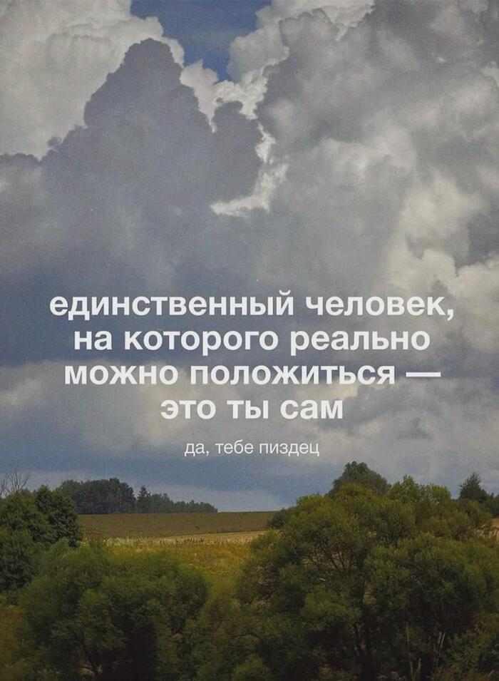 Хоть какая-то определённость в жизни