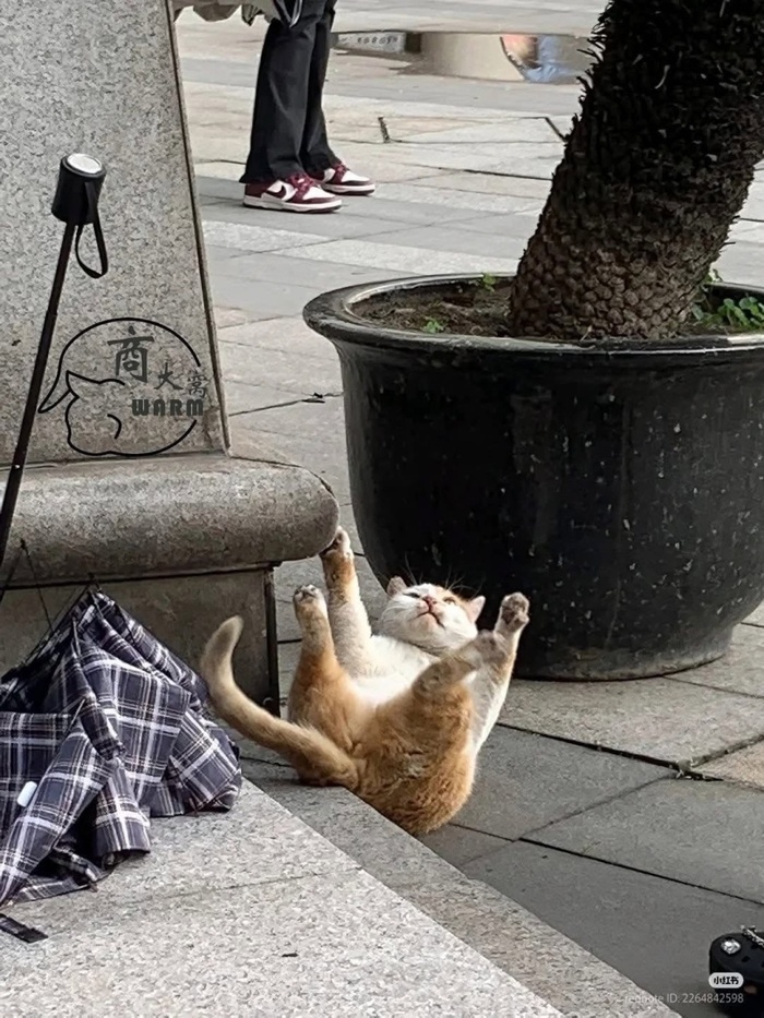     ,   -! , 