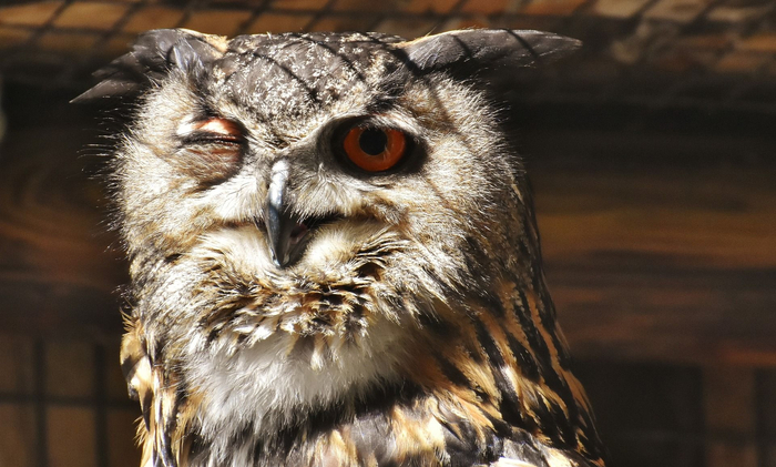 Когда в середине рабочего дня вдруг осознал, что 3 часов сна было недостаточно.