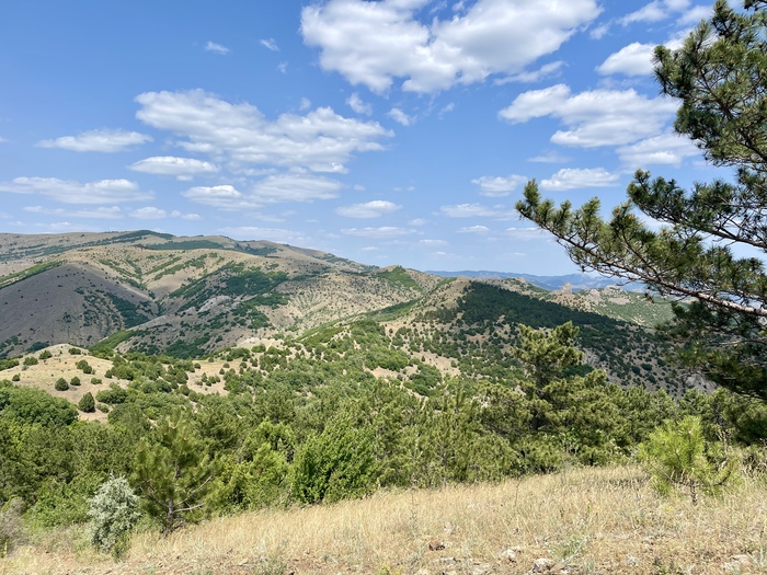 ��� � ������ ����-����